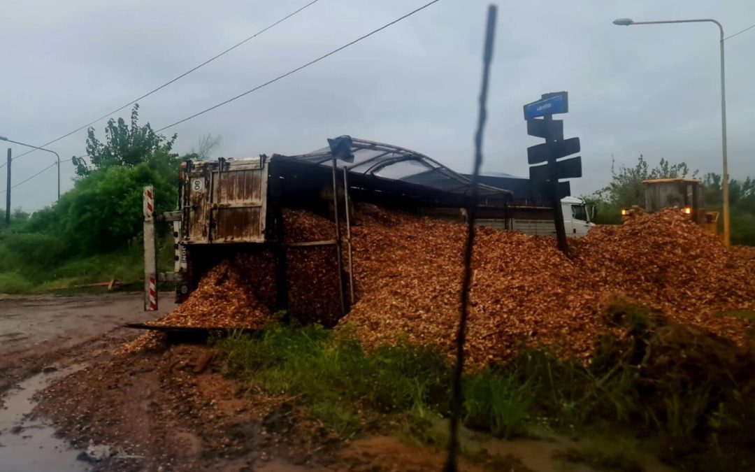 Camión volcó su acoplado cargado con chips de madera en el parque industrial de Federación