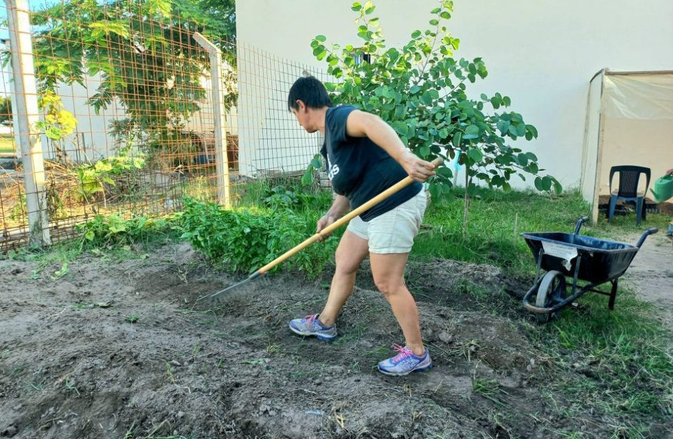 Invitan a participar del taller de Huerta Urbana Comunitaria