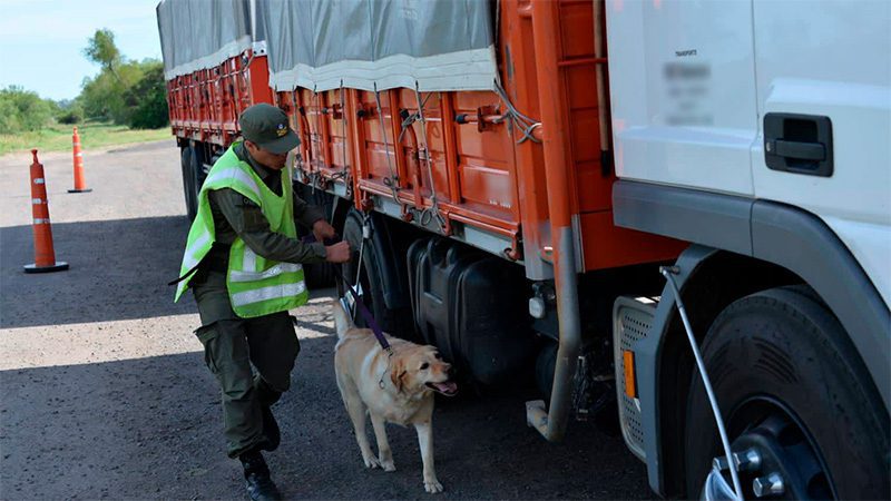 Incautan $45millones a camionero que no pudo acreditar la procedencia del dinero