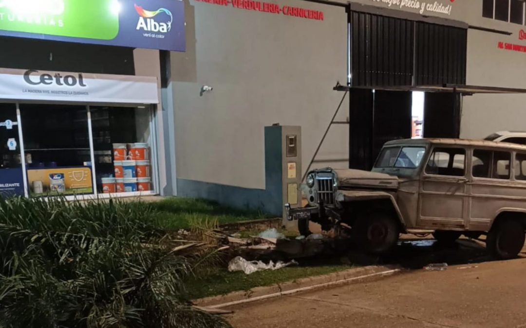 Federación: Perdió el control del vehículo, subió a la vereda y chocó contra una palmera