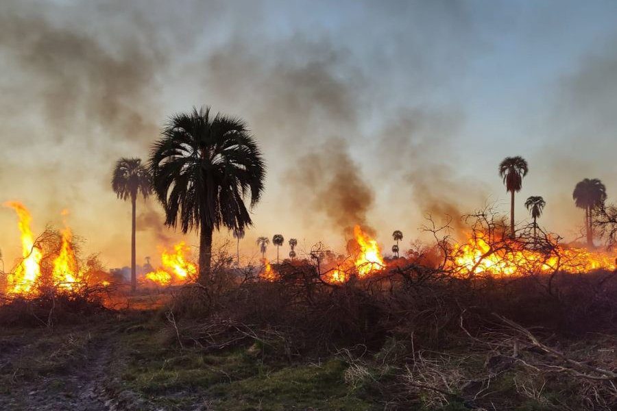 Queman y desmontan un campo de Federal donde iban a crear un parque nacional