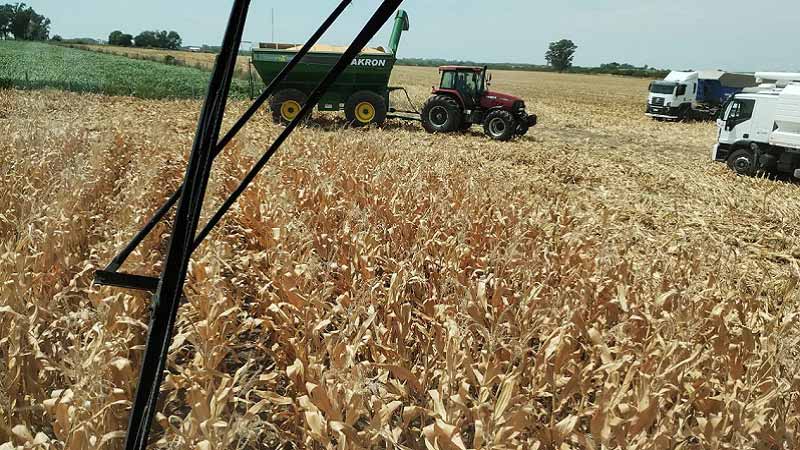 Federación Agraria advierte por deterioro de los números del sector productivo