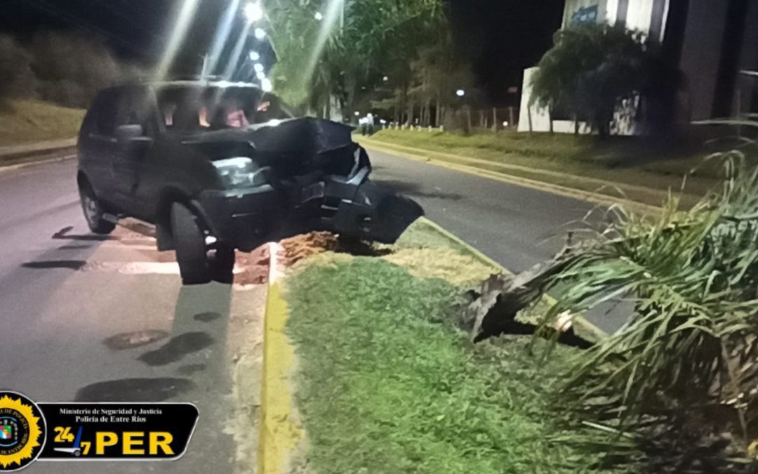 Conductor se durmió al volante e impactó contra una palmera en avenida de Chajarí