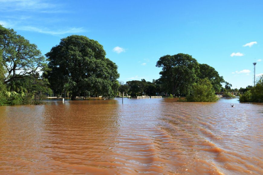 Concordia: comenzó a bajar el río y ya se organiza el regreso a casa de los evacuados