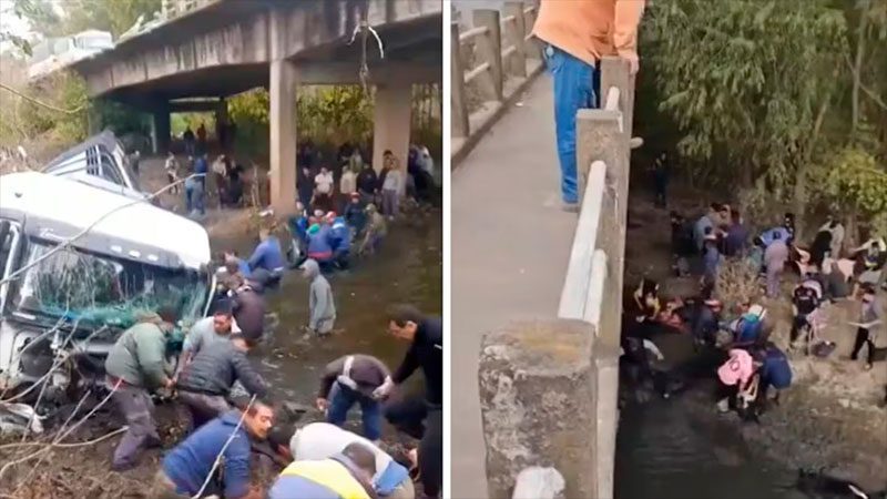 Videos: camión cayó de un puente y la gente entró al río para faenar los vacunos
