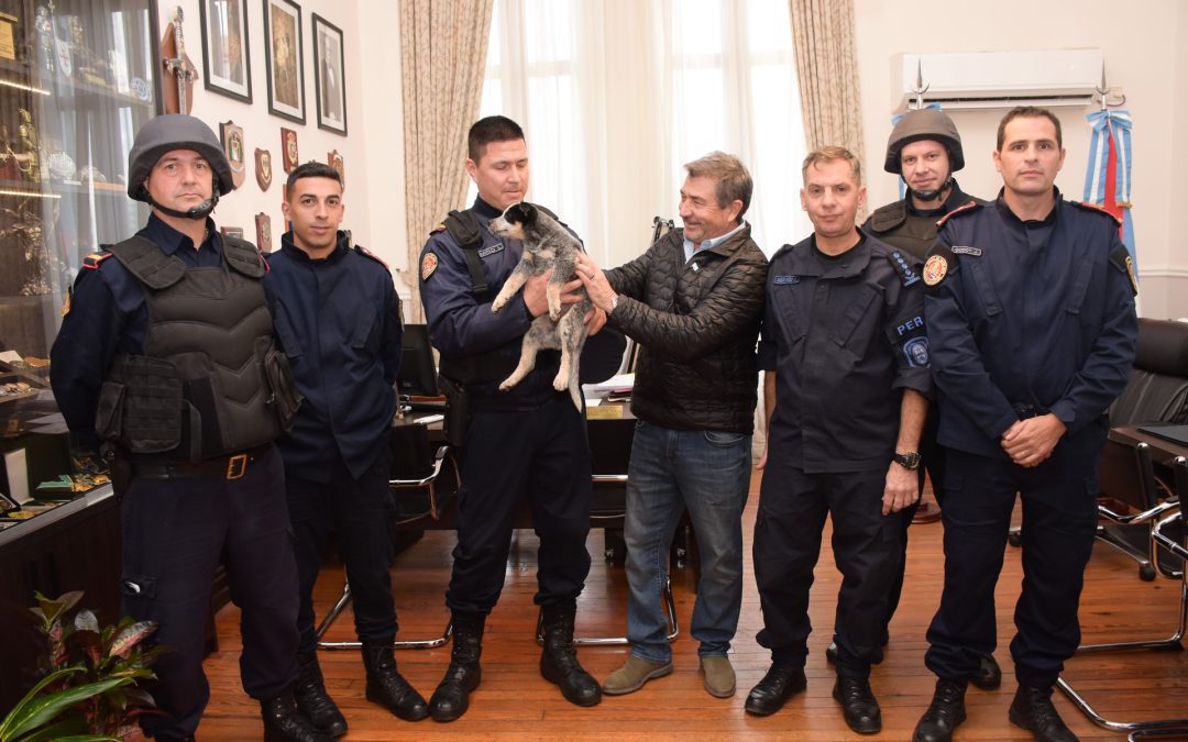 Roncaglia entregó un can a Bomberos Zapadores de la Policía