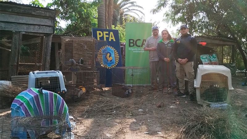Decomisaron aves que se encontraban en criaderos clandestinos en Chajarí