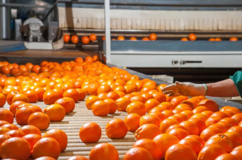 El mundo tiende a comprar cítricos para industria por lo que invitan a diversificar la producción