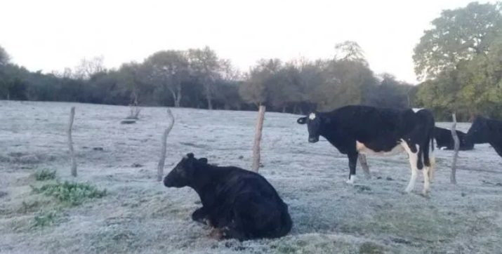 Este invierno sería el segundo más frío en 60 años: cuándo fue el récord