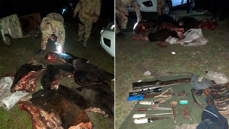 Andaba por el monte y llevaba una bolsa con varios cortes vacunos