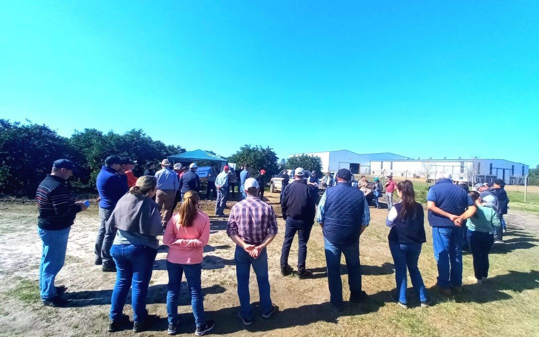 Se realizó la Jornada Técnica de Producción a campo: «Los productores estamos tomando más conciencia del HLB»