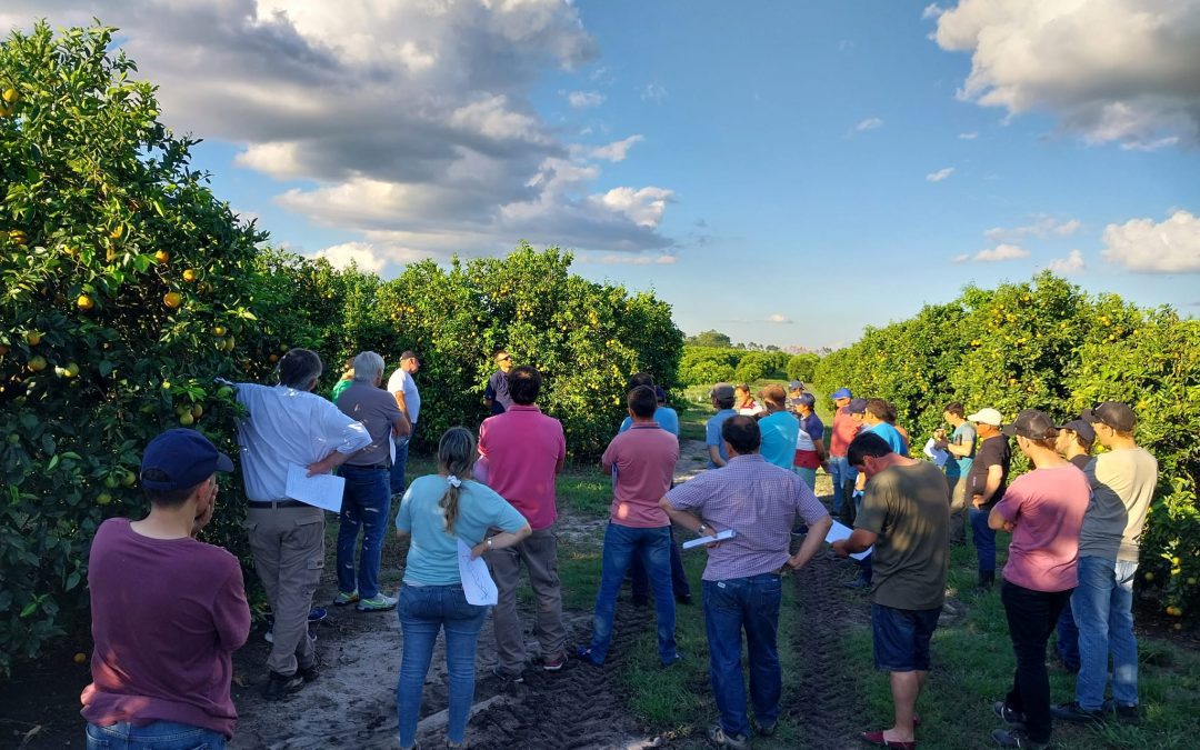 Este miércoles se realizará la Jornada Técnica de Producción a campo en Villa del Rosario