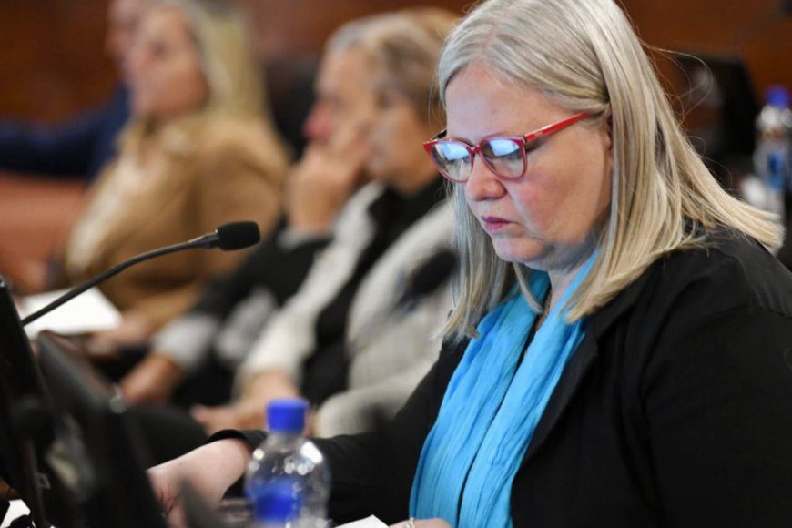 Diputada y afiliada a AGMER cuestionó a los gremios docentes por los paros “en contra de nuestro gobernador”