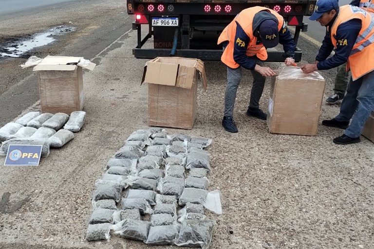 Una encomienda con flores de marihuana descubierta en Concordia terminó con allanamientos en Buenos Aires