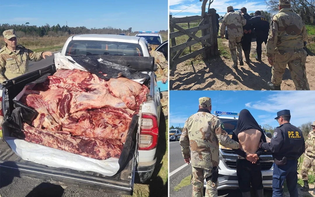 Prisión preventiva para los detenidos tras persecución en helicóptero: carnearon 1.500 kilos de carne