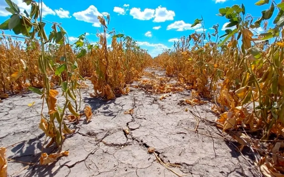 El SMN advirtió que La Niña provocará sequías y falta de lluvias en el país