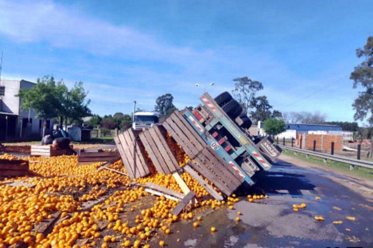 Camión conducido por un chajariense volcó la carga de cítricos en el acceso a localidad entrerriana
