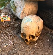 Federación: Encontraron un cráneo humano en la calle e investigan de dónde proviene