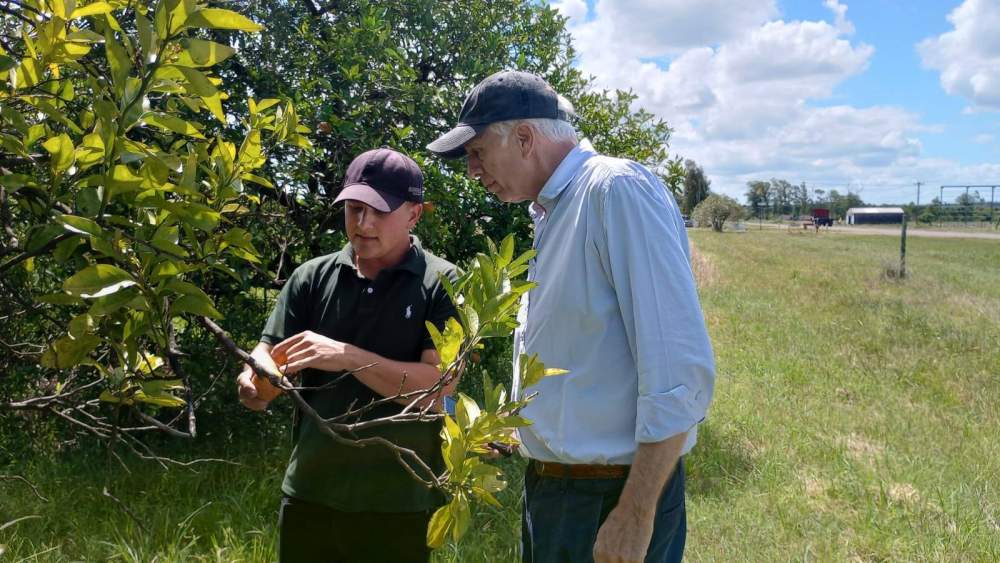 El ministro Bernaudo recorrió una quinta afectada por HLB en Villa del Rosario