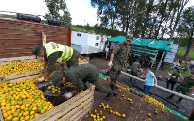 Rechazan la prisión domiciliaria para uno de los condenados por el transporte de casi 2 toneladas de droga oculta entre cítricos