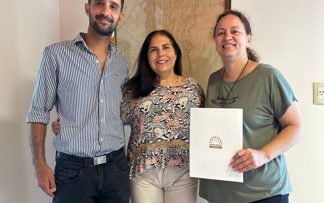Como cada año, la Fiesta Provincial del Inmigrante fue declarada de Interés Legislativo