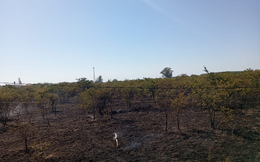 Bomberos extinguieron un incendio de pastizales en un campo cercano a Villa del Rosario