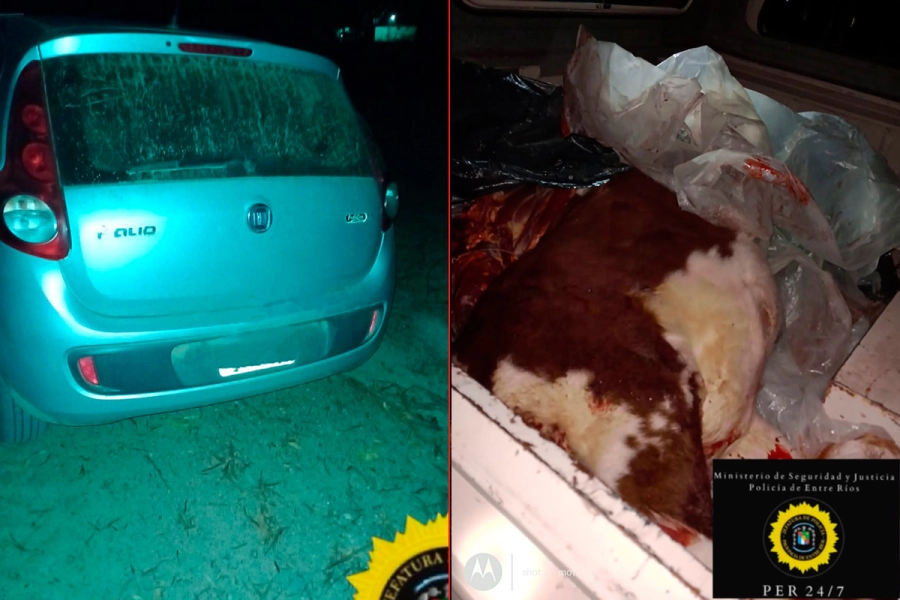 Sargento de Policía fue detenido cuando trasladaba un vacuno despostado