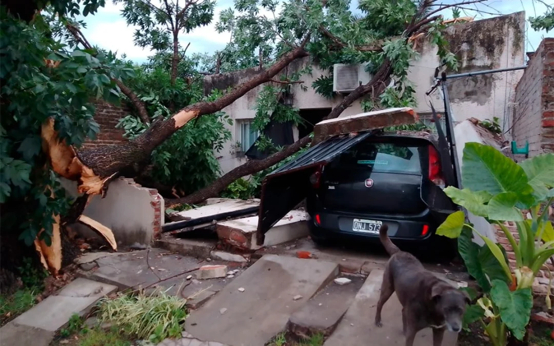 Las impactantes imágenes del temporal que azotó Paraná durante la madrugada