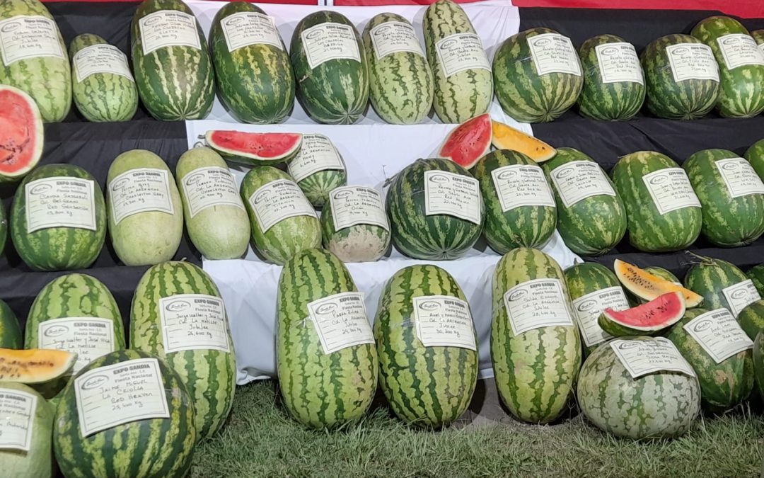 Santa Ana: Conocé a los ganadores de la Expo Sandía 2025