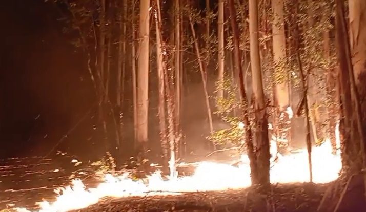 Tras 10 horas de trabajo, bomberos de Villa del Rosario extinguieron incendio forestal en colonia Ensanche Sauce