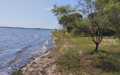 Advierten por un repunte del río Uruguay y anticipan un aumento de caudales en Salto Grande