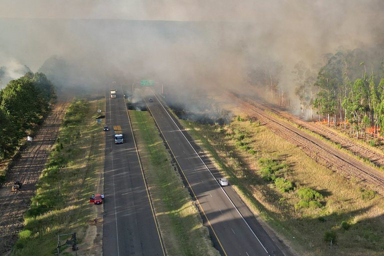 Impactantes imágenes del gran incendio que atravesó la Ruta 14 afectando forestaciones y quintas