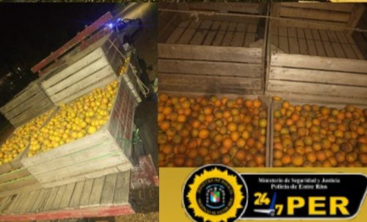 Robaron frutas cítricas de una quinta y fueron interceptados por la Policía cuando transportaban la carga