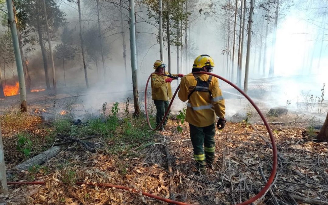 El gobierno declaró la emergencia ambiental por los incendios en toda la provincia