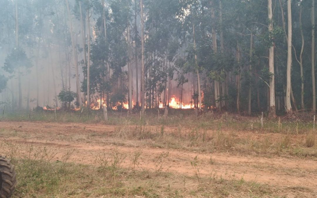 Bomberos de Villa del Rosario y vecinos combaten gran incendio en estancia La Matilde