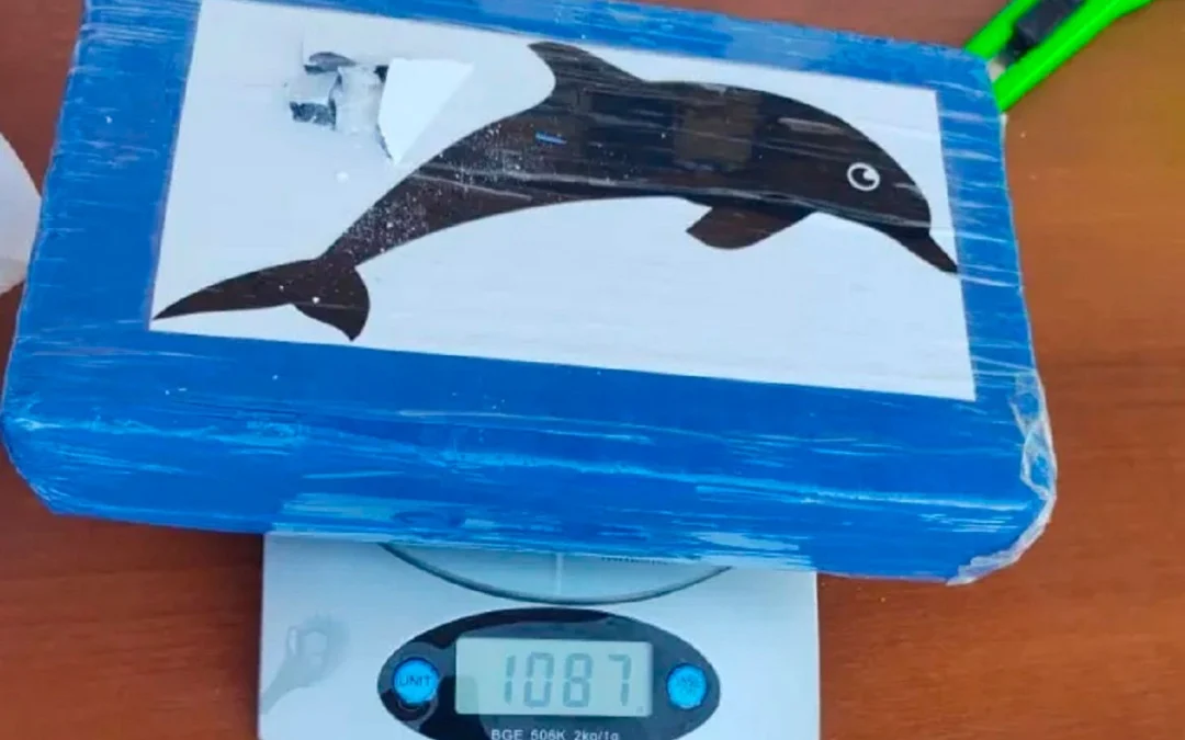 Detuvieron a una pareja que viajaba hacia Entre Ríos con más de un kilo de cocaína