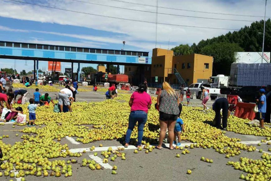 “Se cae a pedazos”: Productores advierten que la fruticultura del Alto Valle “podría desaparecer”