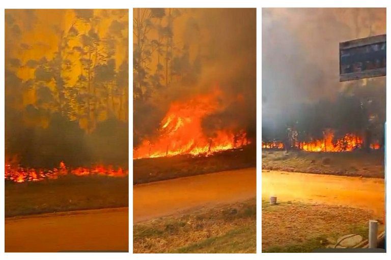 Tras seis horas se pudo controlar el incendio que mantuvo en vilo a Estancia Grande y arrasó centenares de hectáreas productivas