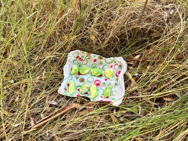 Dictaron el procesamiento de tres proveedores de droga de Chajarí, Concordia y Mocoretá