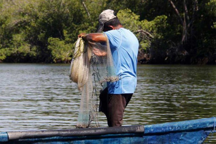 Ante la bajante del río Uruguay, prohíben pescar de noche y los fines de semana
