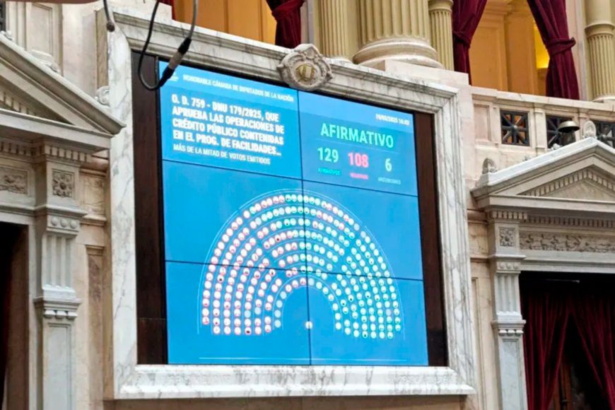 UCR-PRO a favor y el PJ en contra: así votaron los entrerrianos el DNU que permite a Milei acordar con el FMI