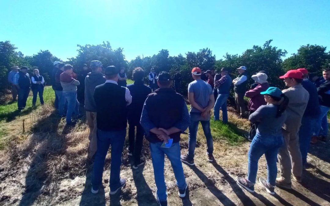 Este miércoles, se realizará en Villa del Rosario una charla sobre Mosca de los Frutos, nueva Ley de Fitosanitarios y uso agronómico de drones