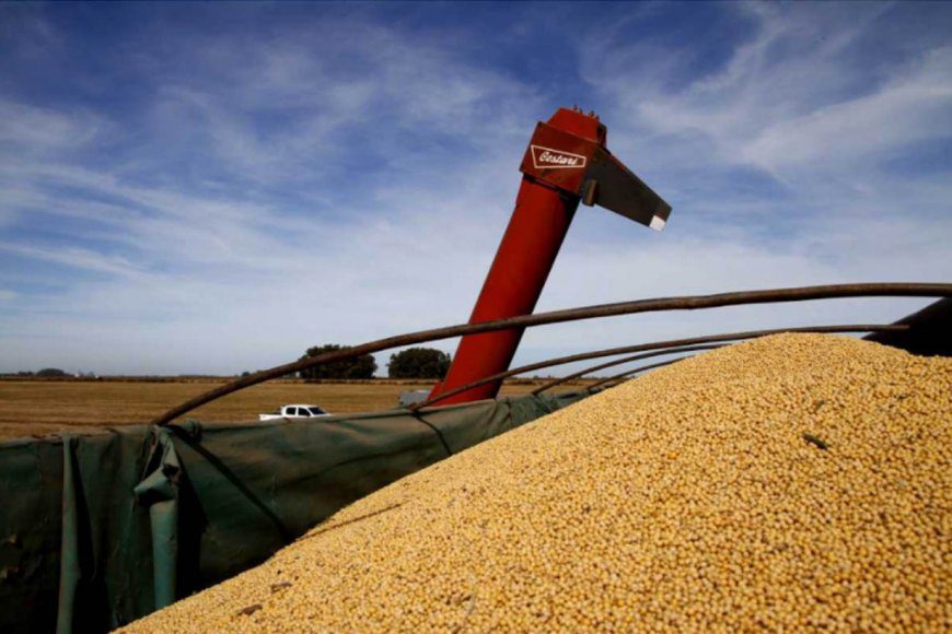 Vuelta de las retenciones: la Federación Agraria Entre Ríos aseguró que «queda solamente un 15% para nosotros»