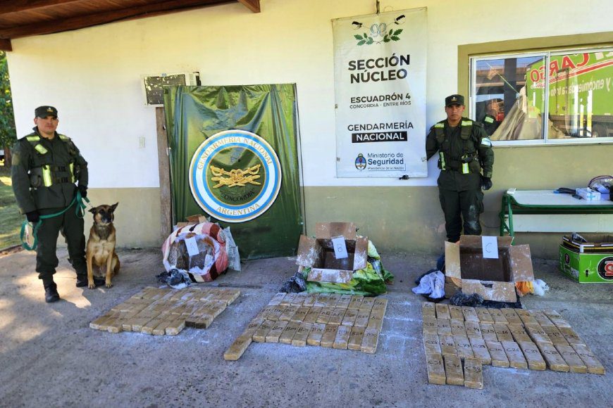 Frenaron el envío de más de 100 kilos de droga ocultos en encomiendas durante su paso por Entre Ríos