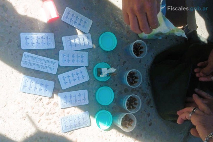 Procesaron con prisión preventiva a enfermero y a su hermano militar por vender fentanilo