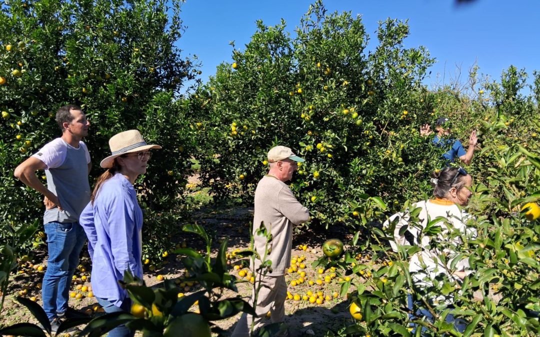 Desde Provincia indicaron que trabajan para asistir a productores de la zona afectados por el granizo