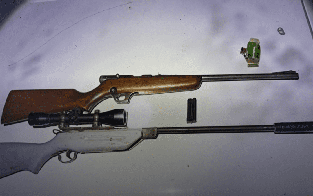 Incautaron 554 armas de fuego en lo que va de 2025 en Entre Ríos