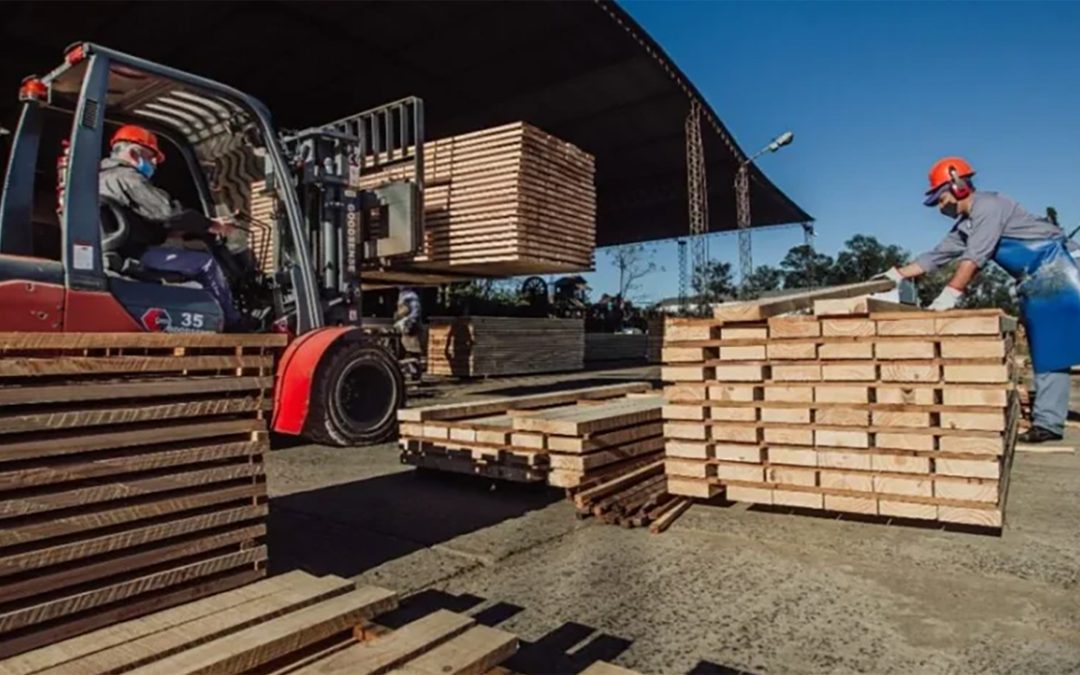 Industrias del sector foresto industrial operan al 40% de su capacidad instalada: Impacto en los aserraderos