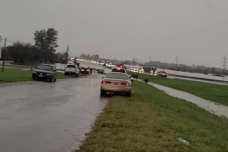 Se levantó el corte de tránsito en la Autovía 12, que comunica a Entre Ríos y Buenos Aires