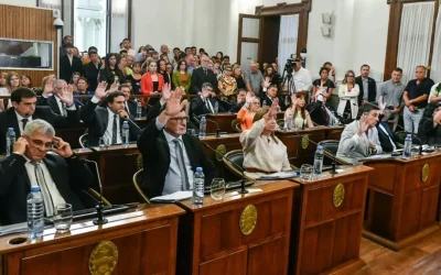 Senado: la reforma previsional tiene despacho de mayoría, luego del plenario será tratada en los próximos días